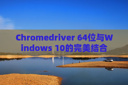 Chromedriver 64位与Windows 10的完美结合